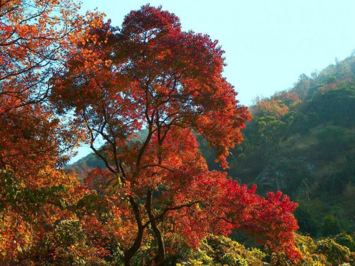 广州石门国家森林公园图片