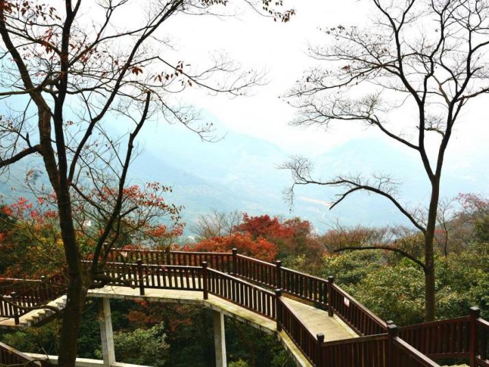 广州石门国家森林公园图片