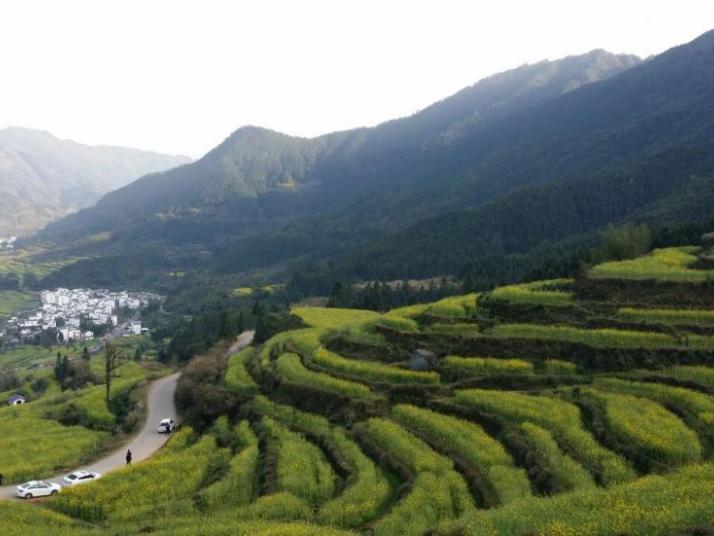 婺源江岭景区