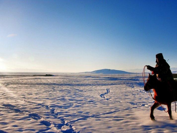 巴音郭楞巴音布鲁克大草原图片