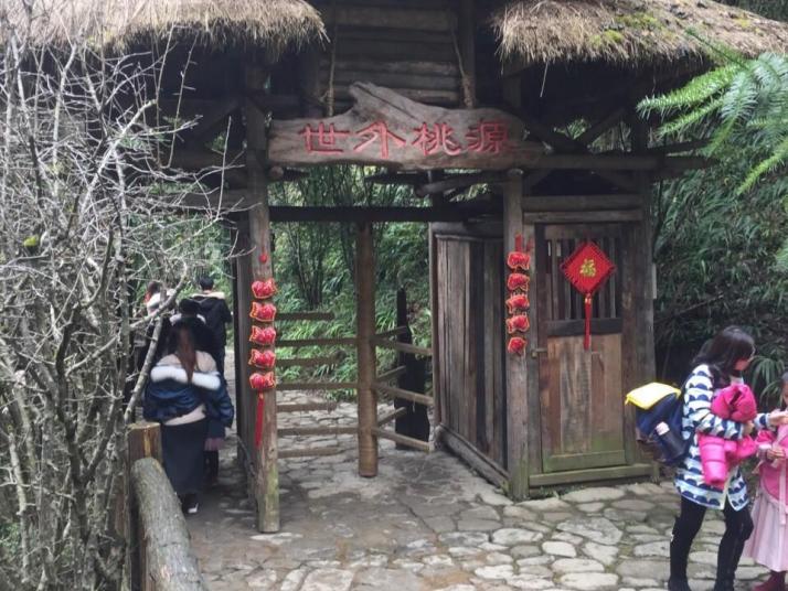 酉阳酉阳桃花源景区图片