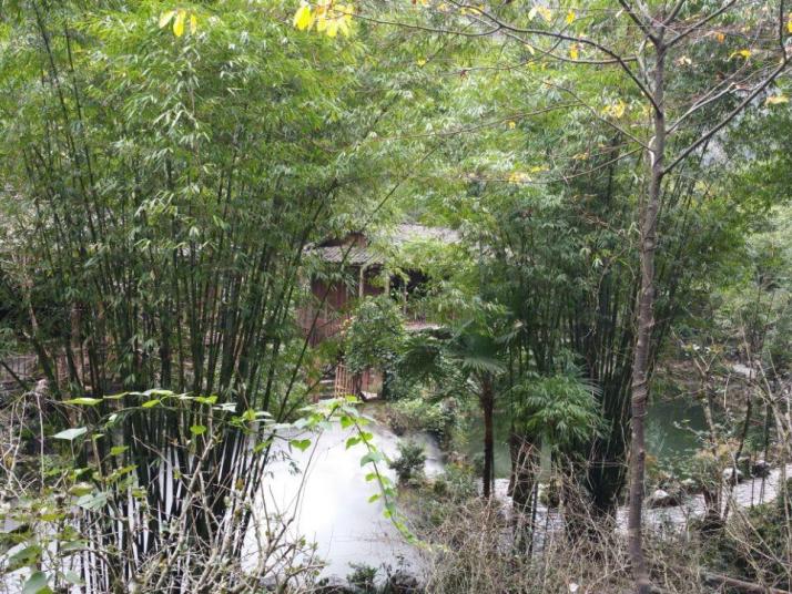 酉阳酉阳桃花源景区好玩吗