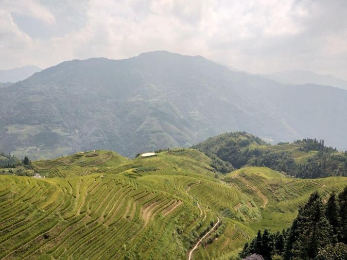 桂林龙脊梯田图片