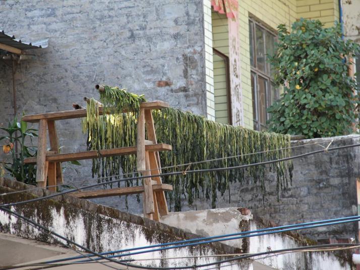 增城小楼人家景区