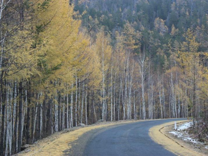 额尔古纳莫尔道嘎