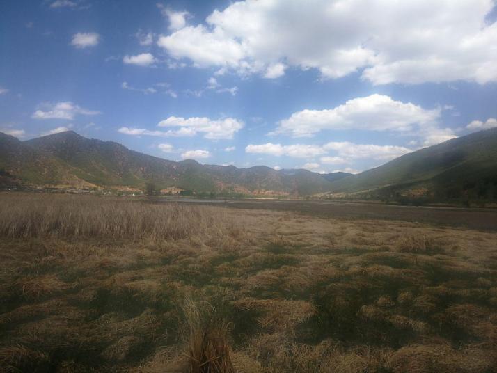 宁蒗泸沽湖草海景区图片