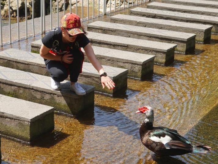 宜昌三峡人家风景区