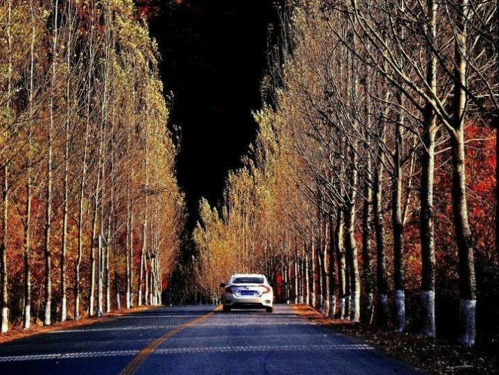 本溪本桓公路中华枫叶之路