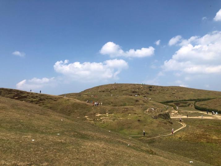 郴州仰天湖大草原图片