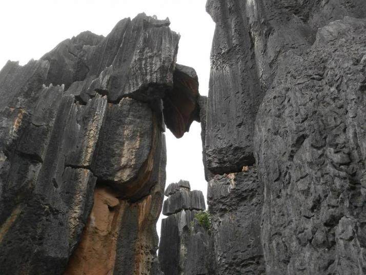 昆明石林国家地质公园图片
