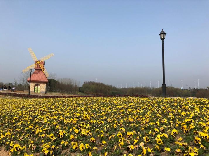 杭州杭州湾湿地公园好玩吗