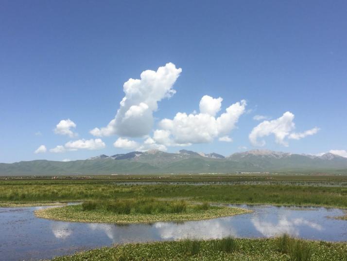 若尔盖花湖景区图片
