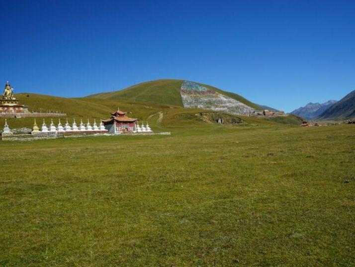 道孚龙灯草原图片