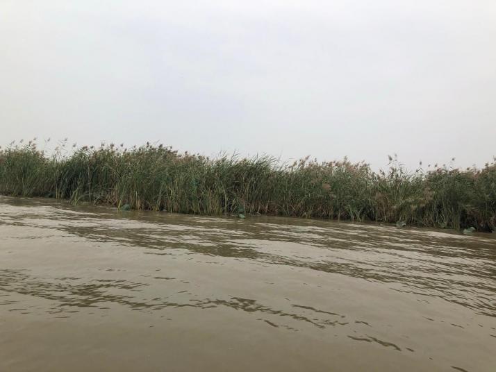 济宁微山湖好玩吗