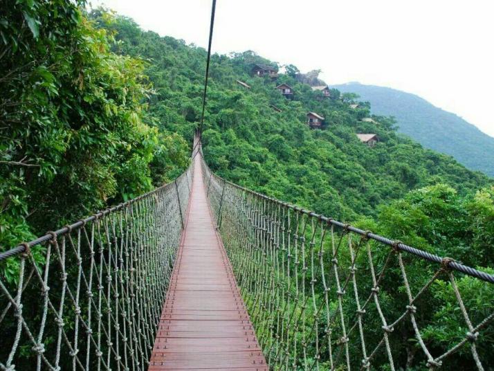 三亚亚龙湾热带天堂森林公园