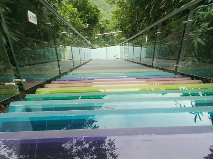 三亚亚龙湾热带天堂森林公园好玩吗