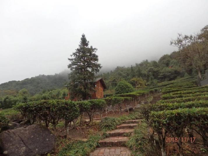 贺州姑婆山国家森林公园图片