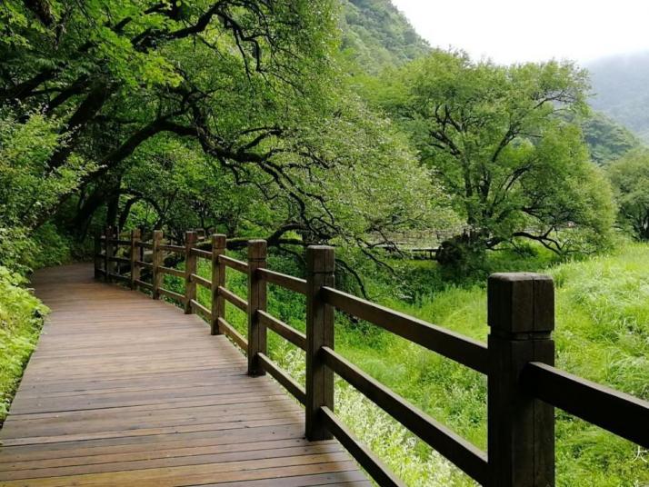 神农架大九湖国家湿地公园