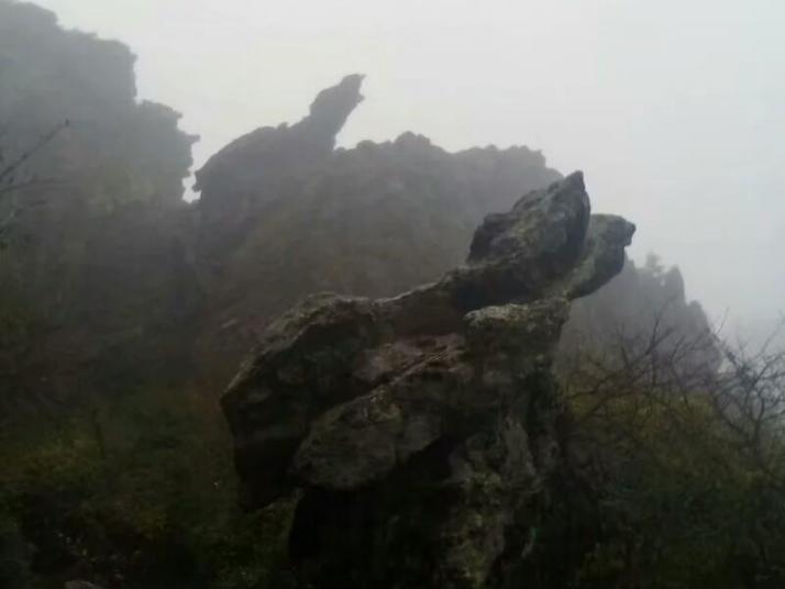 神农架神农顶风景区图片