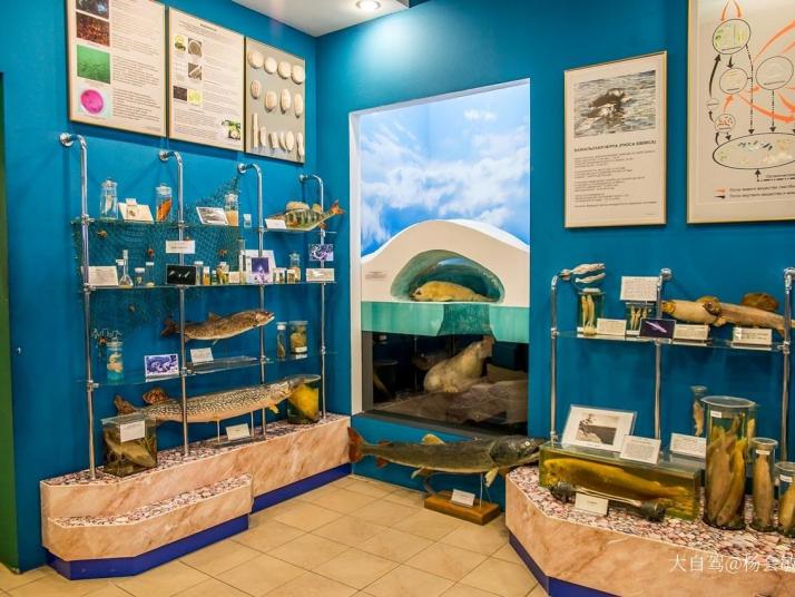 伊尔库茨克贝加尔湖博物馆