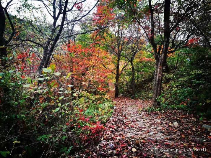 本溪老边沟风景区好玩吗