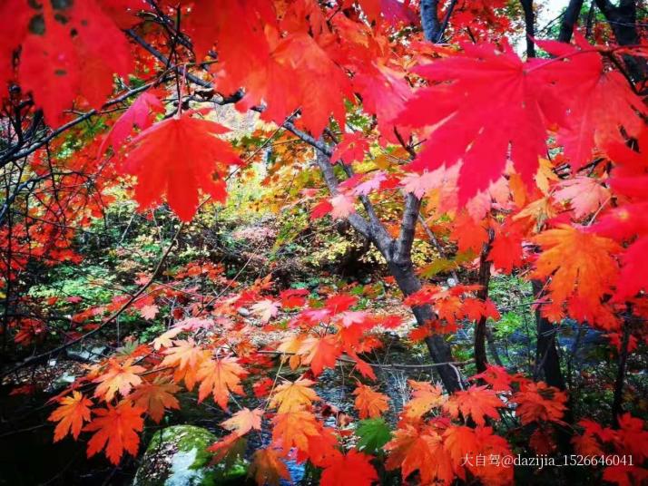 本溪老边沟风景区图片