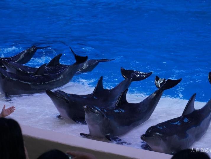 珠海长隆海洋王国