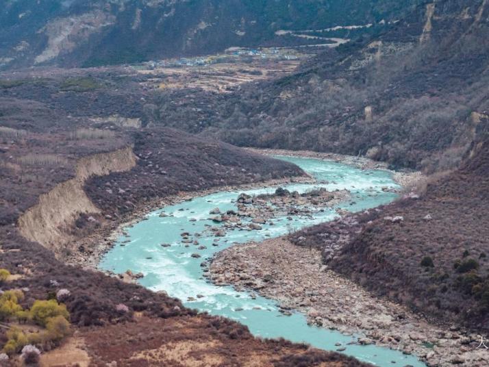 林芝林芝桃花节图片