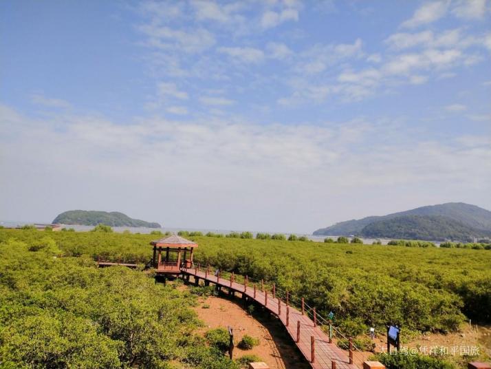 阳江海陵岛红树林国家湿地公园好玩吗