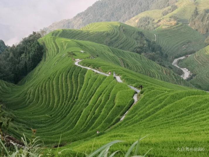 龙胜九龙五虎观景点