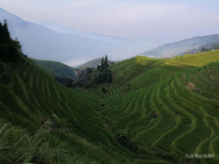 龙胜九龙五虎观景点图片
