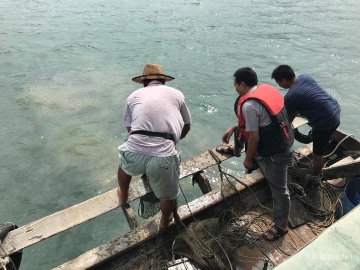 惠东巽寮湾出海捕鱼体验好玩吗