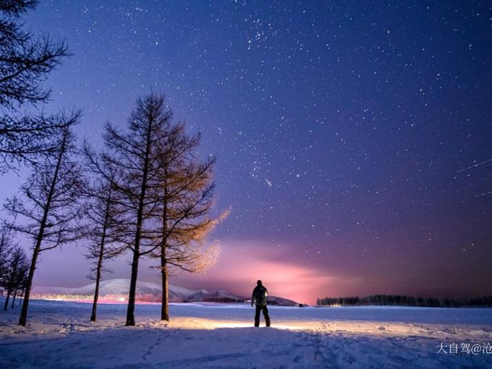 承德塞罕坝国家森林公园好玩吗