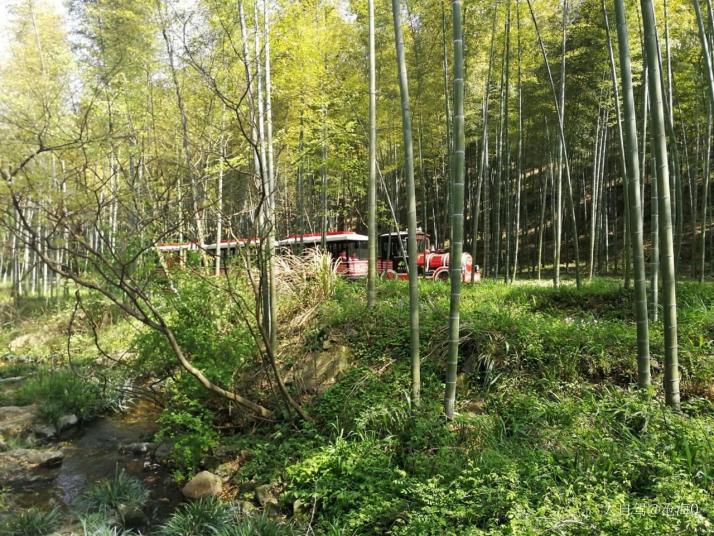 溧阳天目湖南山竹海图片