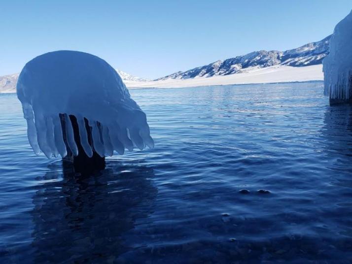 博尔塔拉赛里木湖好玩吗