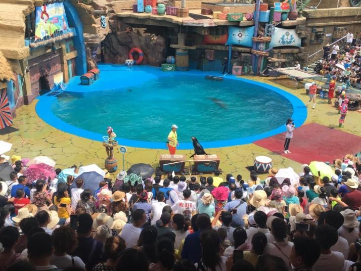 大连老虎滩海洋公园图片