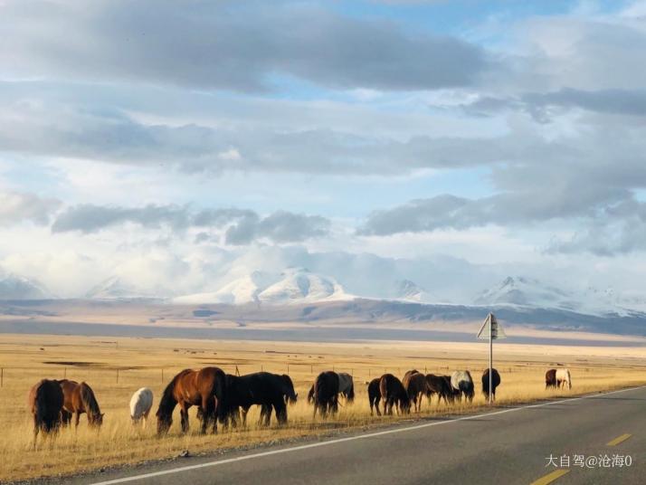 新疆独库公路图片