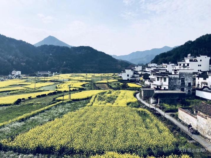 婺源上坦村图片