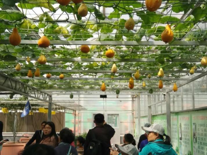 兰陵兰陵国家农业公园图片