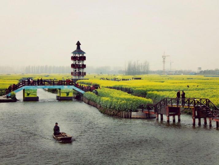 兴化兴化千垛油菜花景区好玩吗