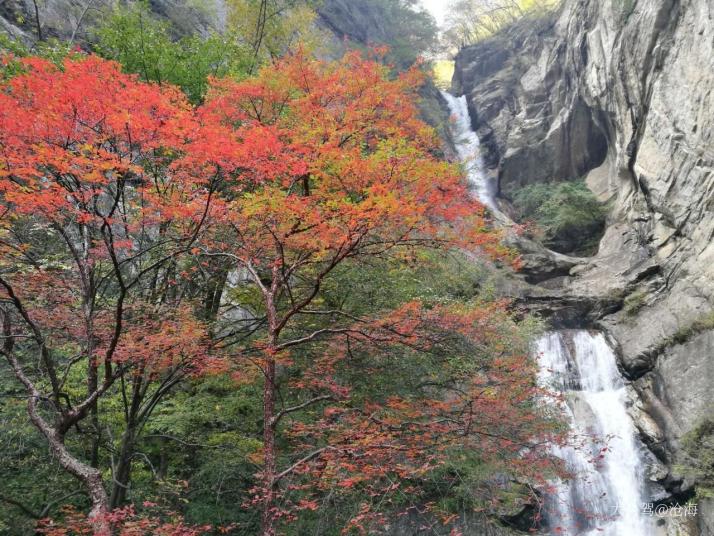 户县太平国家森林公园