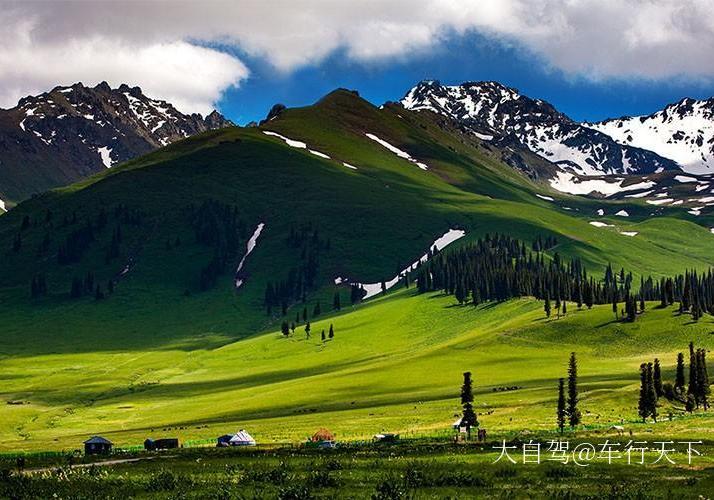 伊犁那拉提草原