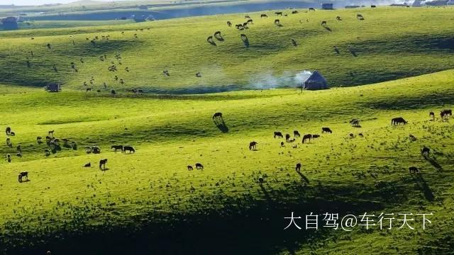 伊犁那拉提草原图片