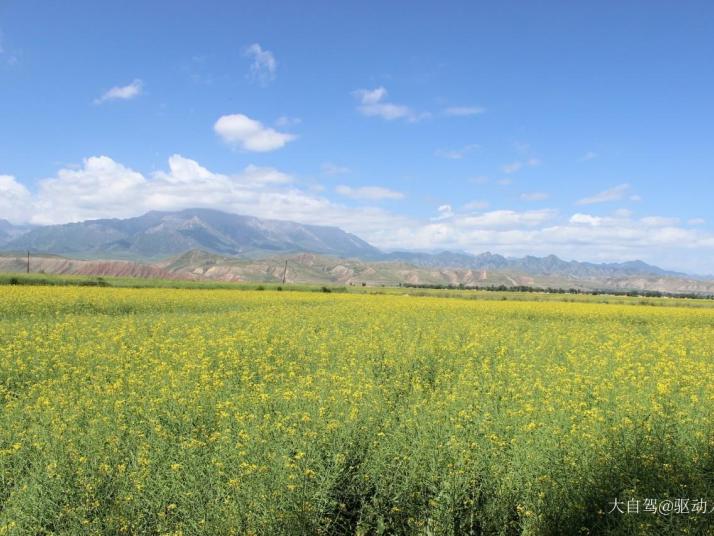 祁连祁连山草原图片