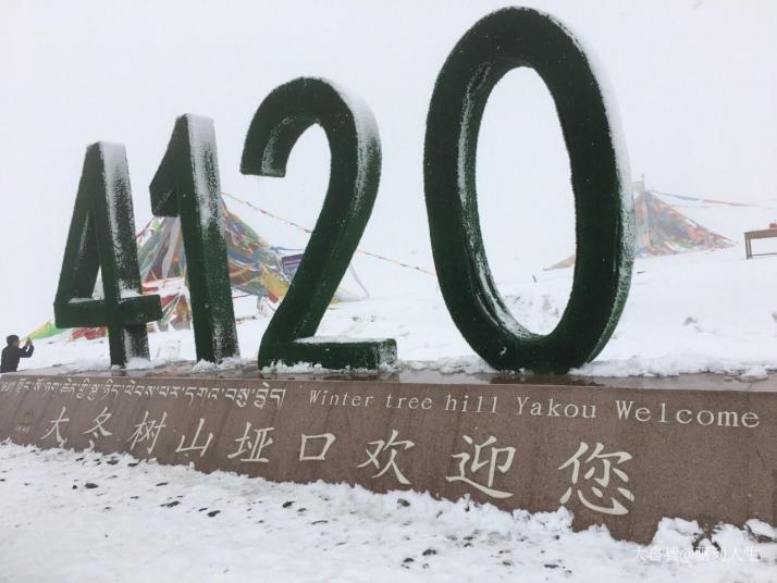 祁连大冬树山垭口图片