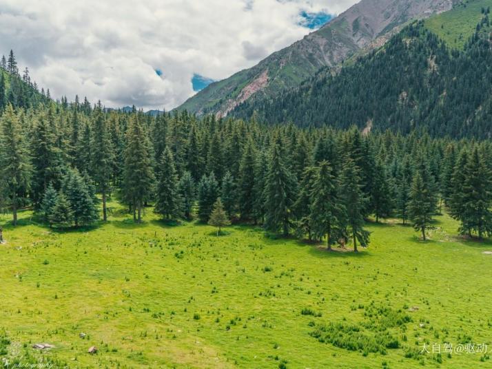 祁连冰沟林海景区好玩吗