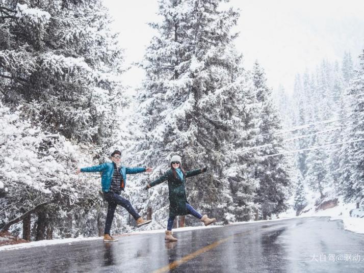 祁连冰沟林海景区