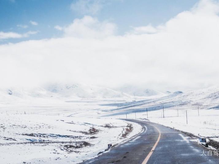 祁连冰沟林海景区图片