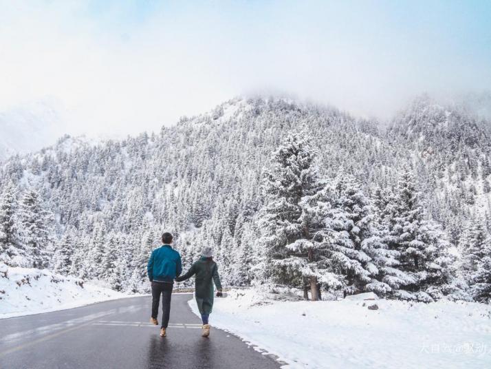 祁连冰沟林海景区好玩吗