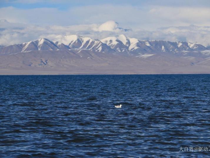 德令哈哈拉湖图片